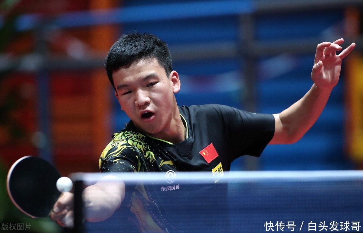 郑钦文对比 郑钦文对比