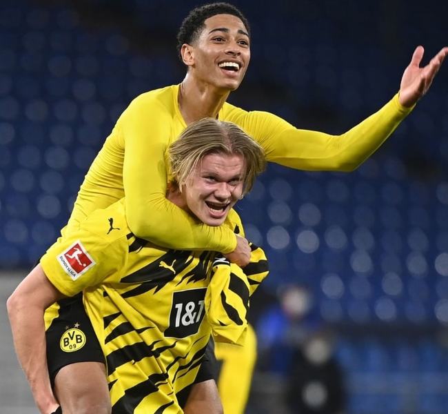 地适应可能 地适应可能